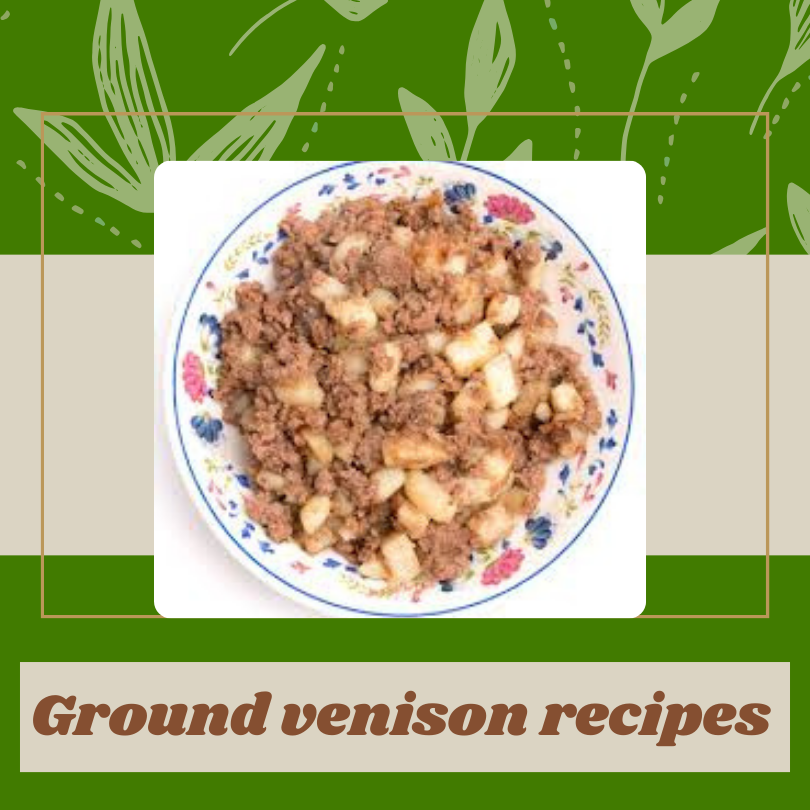 ground venison recipes